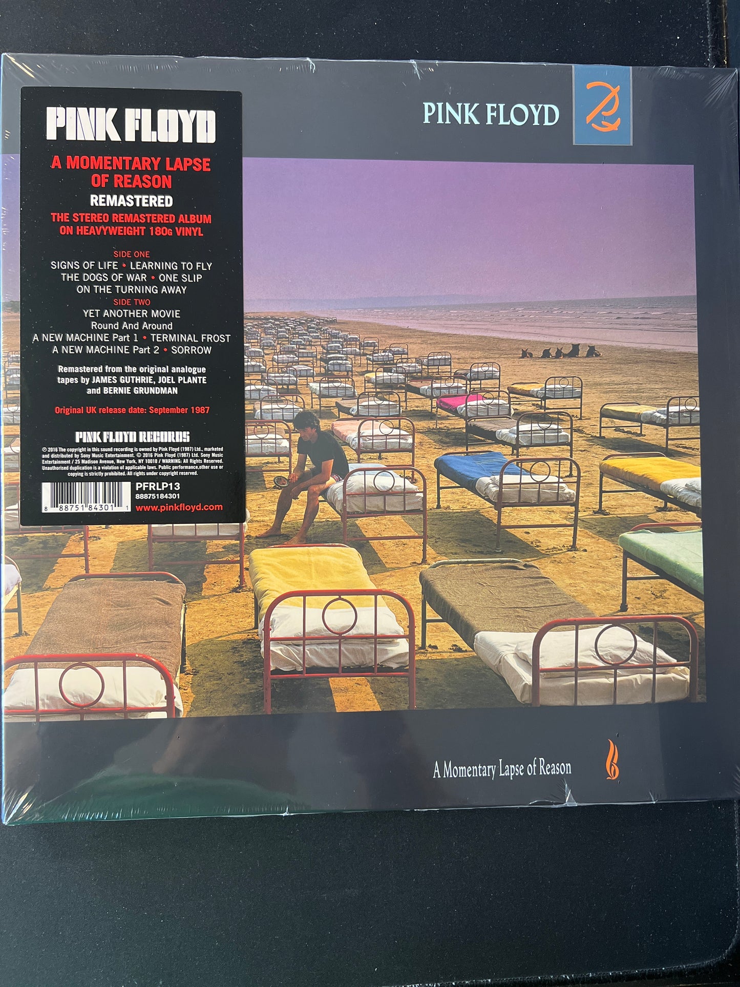 PINK FLOYD - a momentary lapse of reason