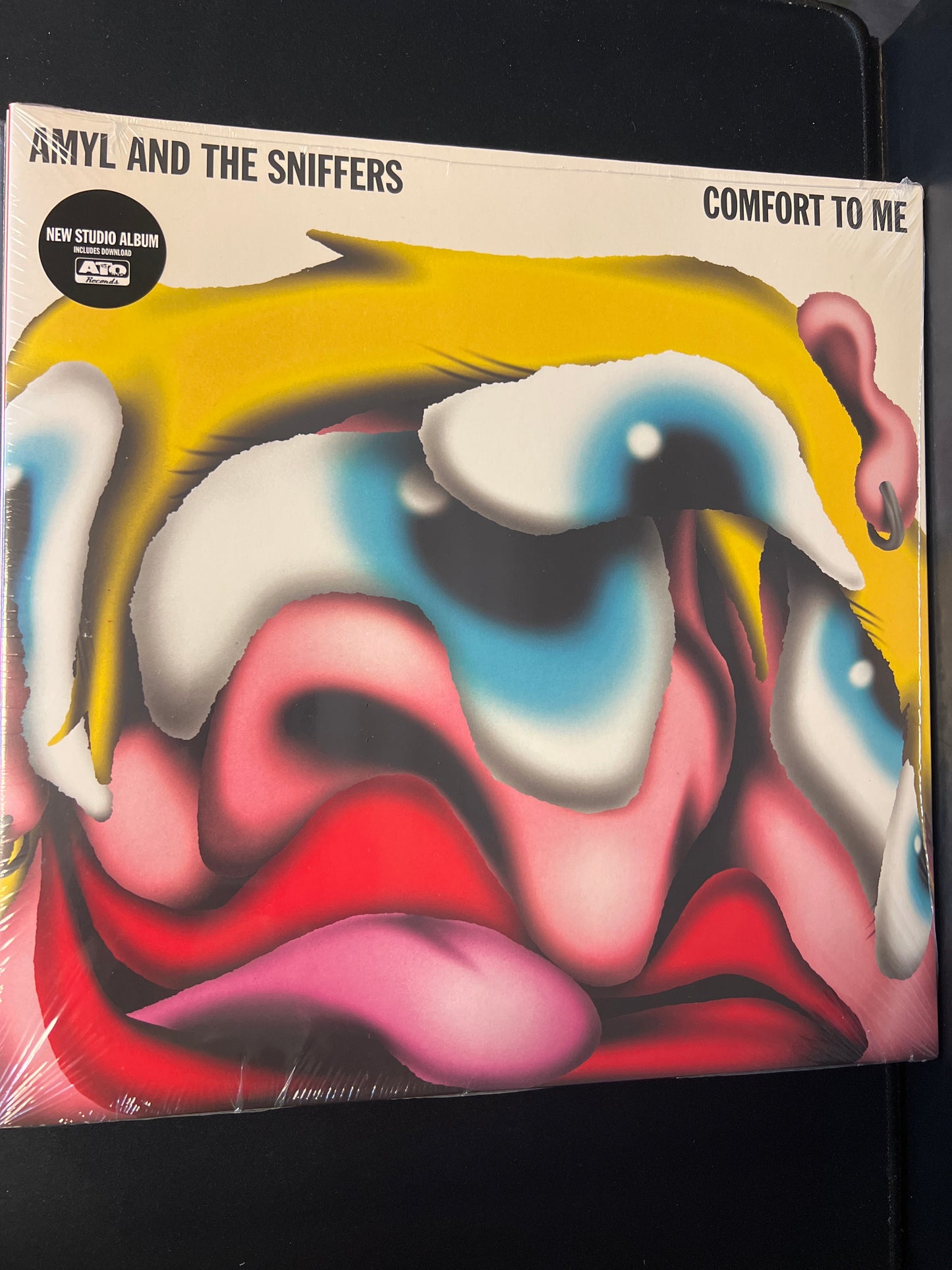 AMYL AND THE SNIFFERS - comfort to me