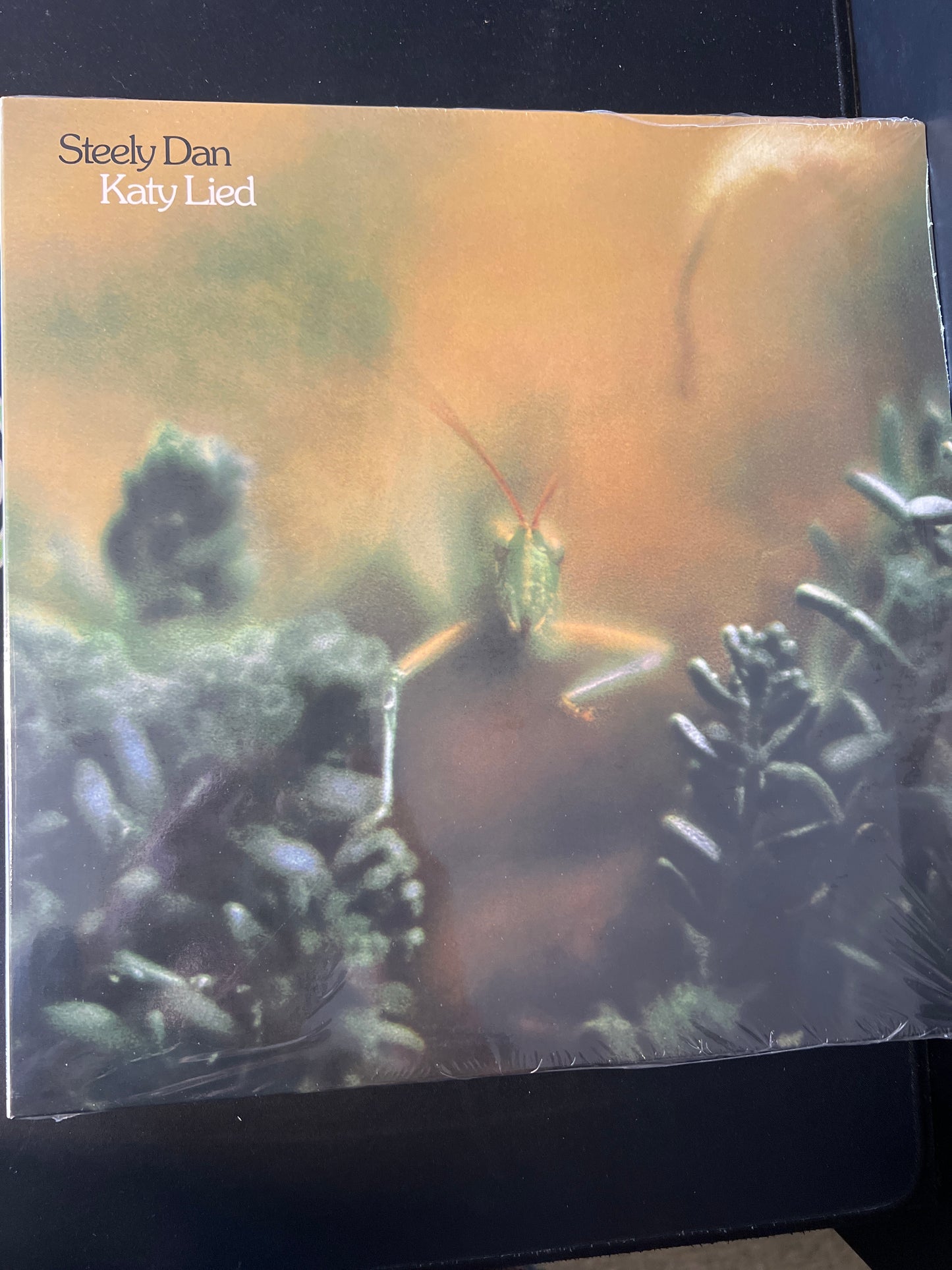 STEELY DAN - Katy Lied