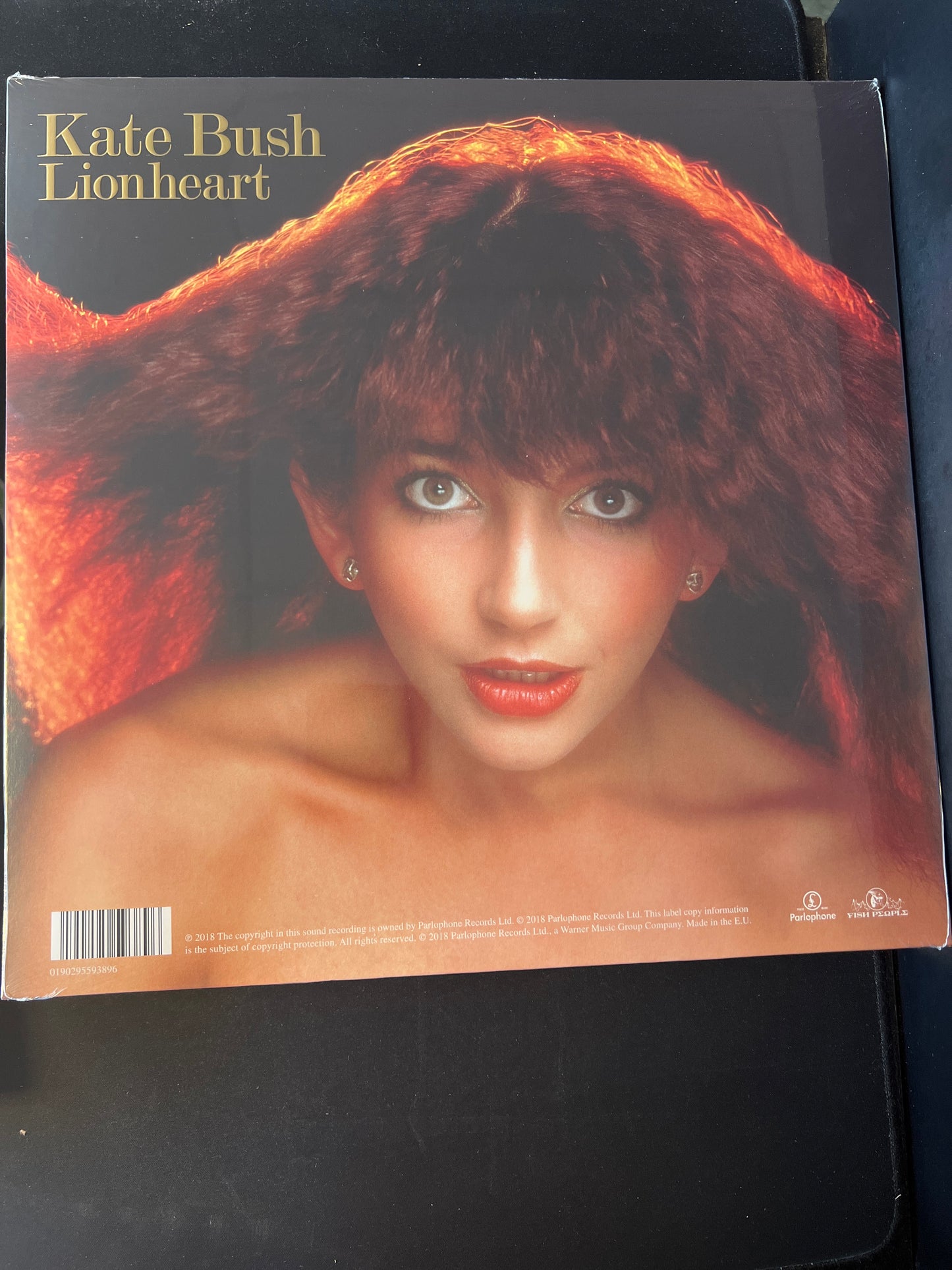 KATE BUSH - lion heart