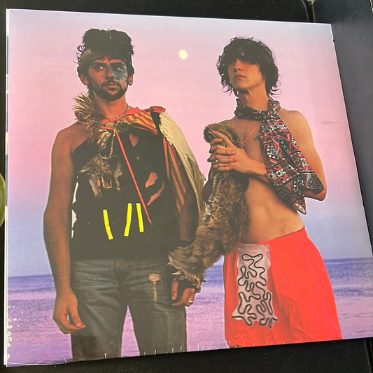 MGMT - oracular spectacular