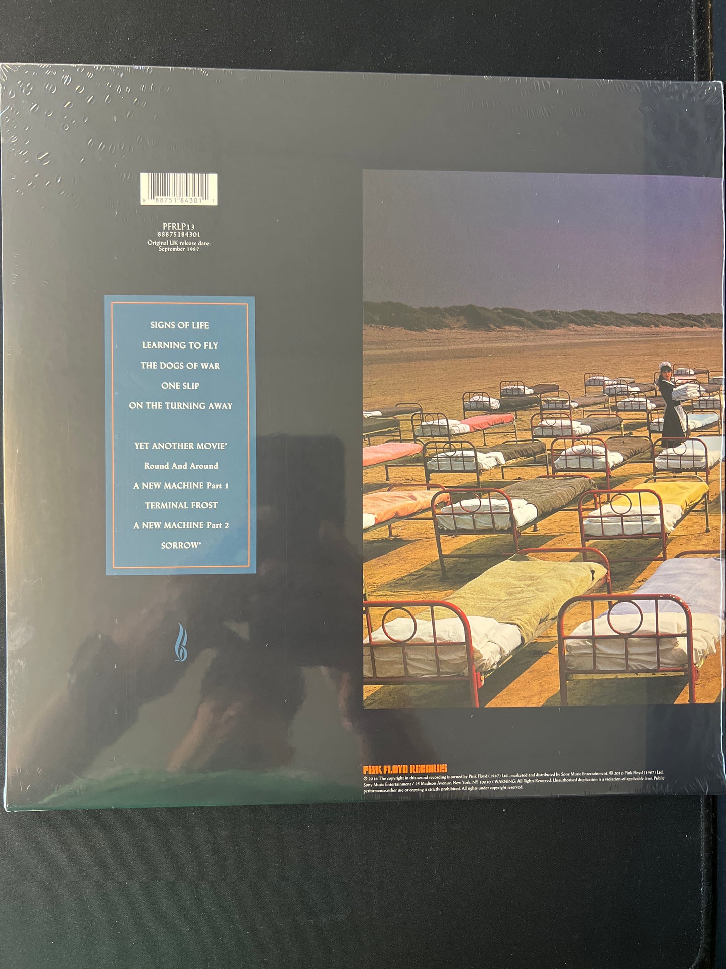 PINK FLOYD - a momentary lapse of reason