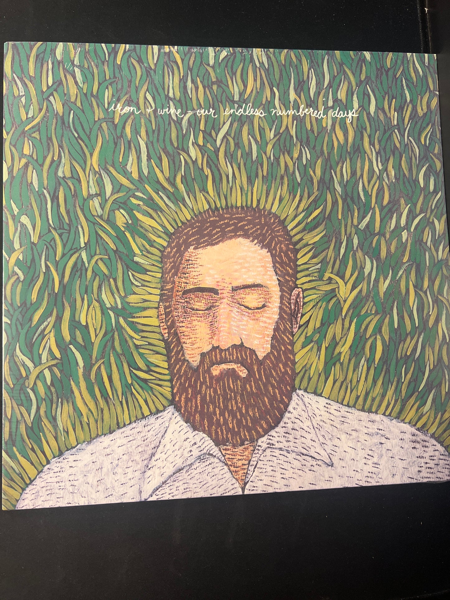 IRON + WINE - our endless numbered days