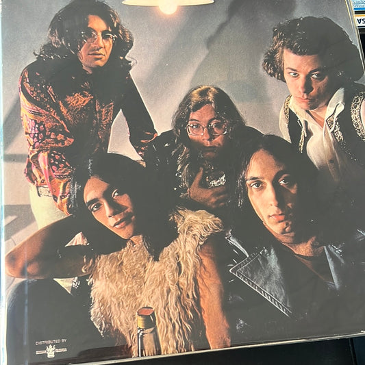 FLAMIN GROOVIES