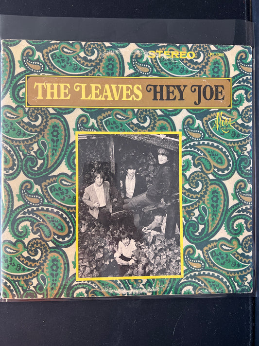 THE LEAVES - Hey Joe