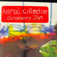 ANIMAL COLLECTIVE - strawberry jam