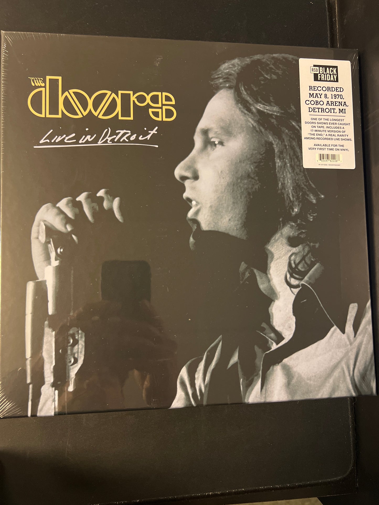 THE DOORS - live in Detroit