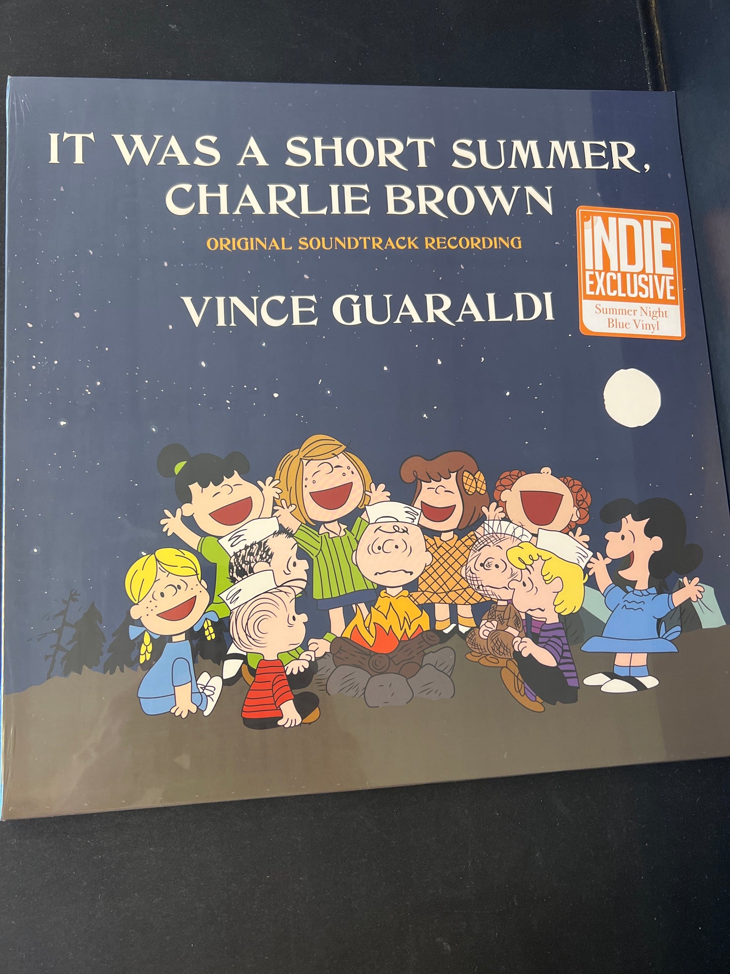 VINCE GUARALDI - it was a short summer Charlie Brown