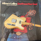 ALBERT COLLINS - don’t lose your cool