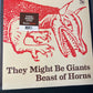 THEY MIGHT BE GIANTS - beast of horns