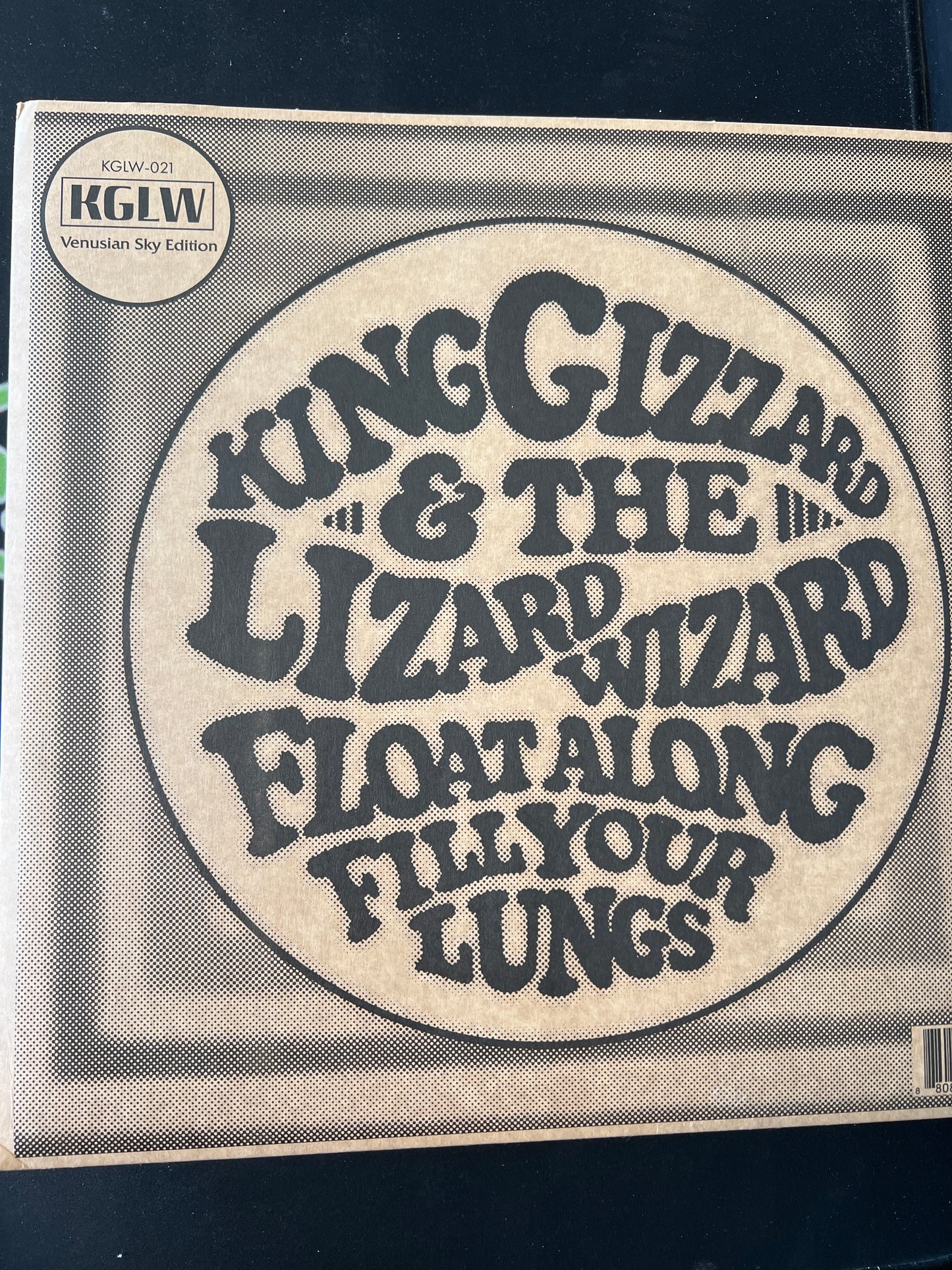 KING GIZZARD & THE LIZARD WIZARD - float along • fill your lungs