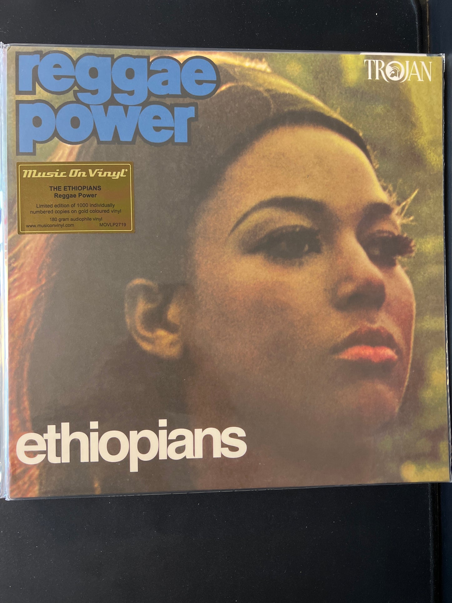 THE ETHIOPIANS - reggae power