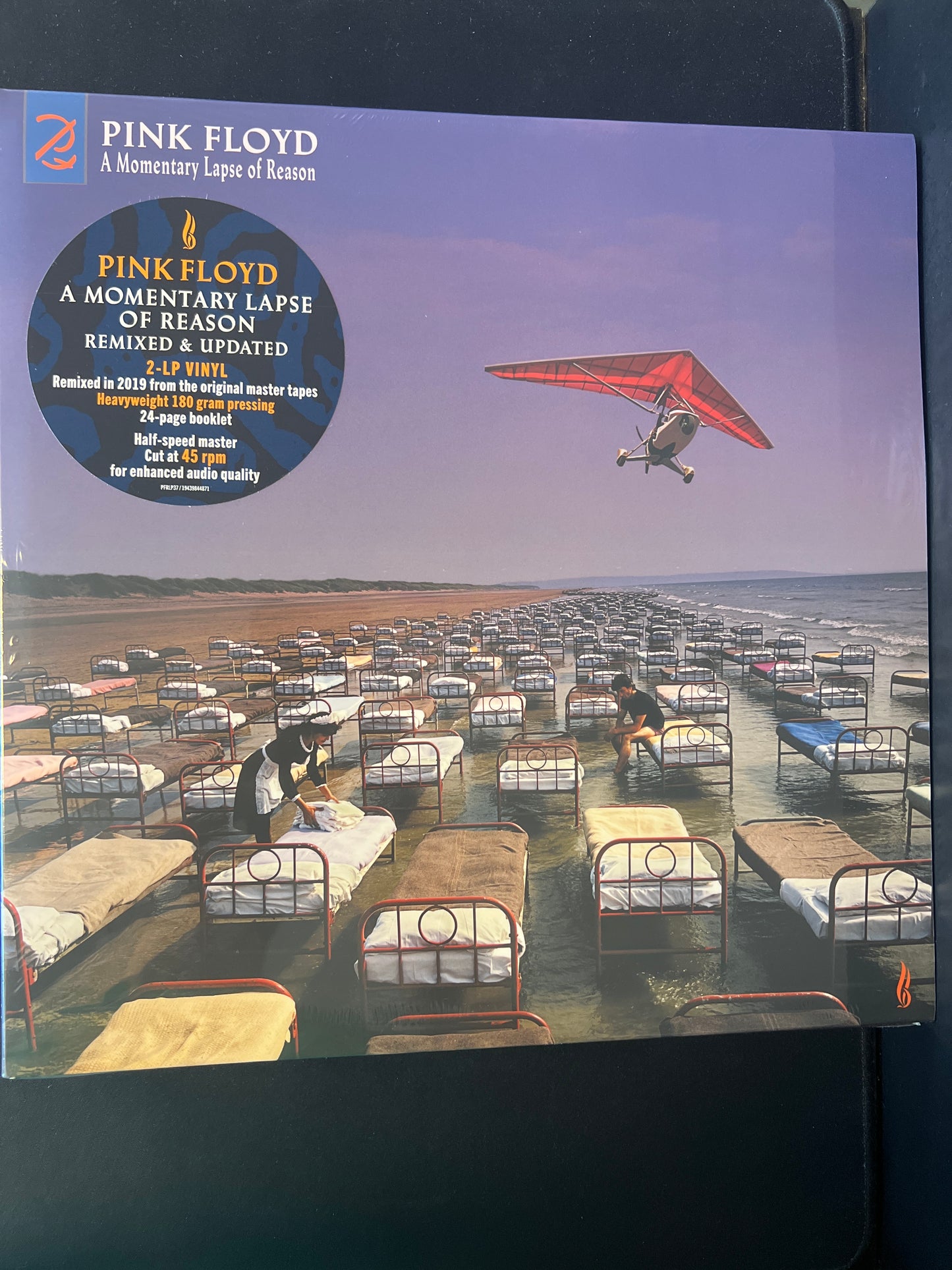 PINK FLOYD - a momentary lapse of reason