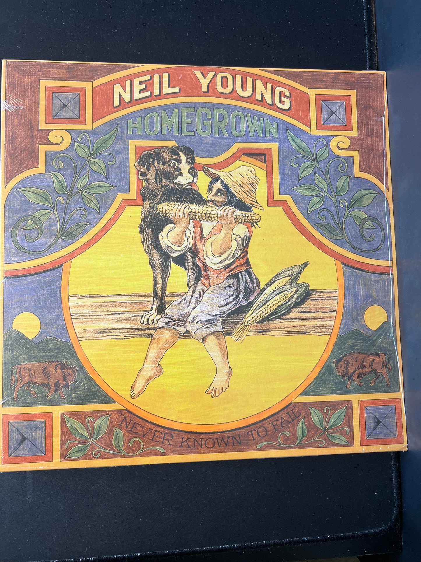 NEIL YOUNG - homegrown