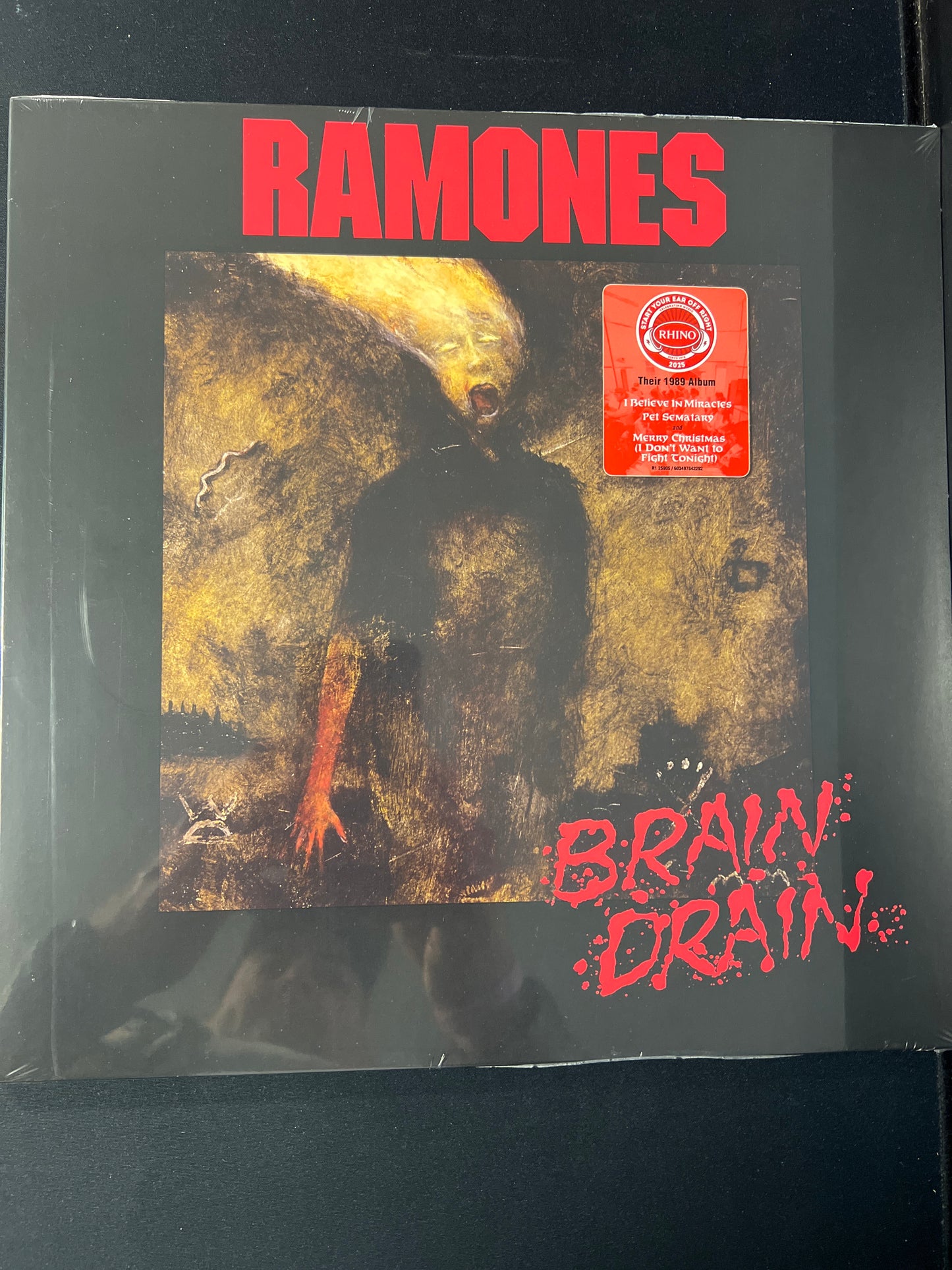 RAMONES - brain drain