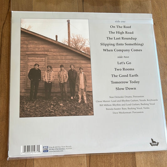 THE FEELIES - the good earth