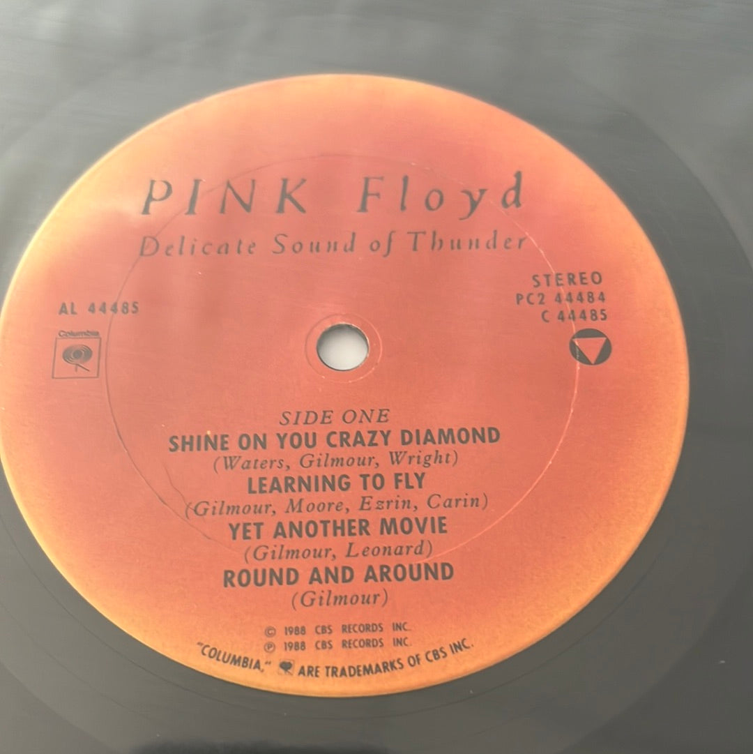 PINK FLOYD “delicate sound of thunder” – Northwest Grooves