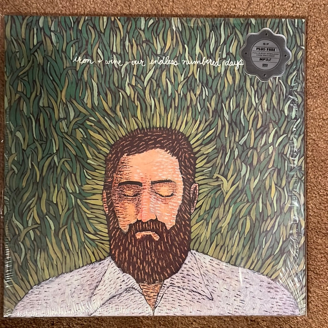 IRON AND WINE - our endless numbered days