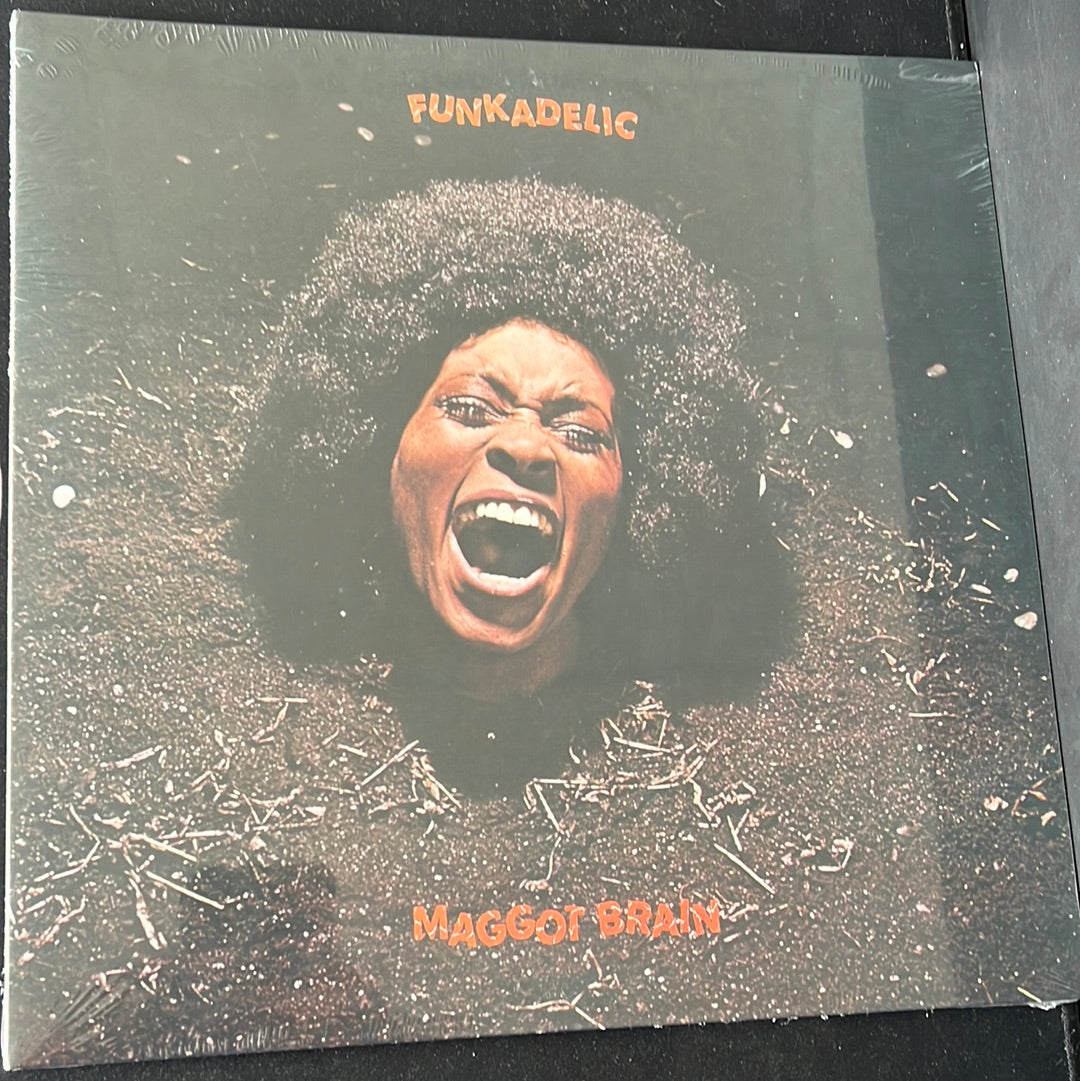 FUNKADELIC - maggot brain