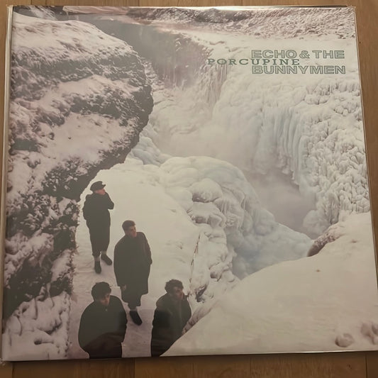 ECHO AND THE BUNNYMEN - porcupine