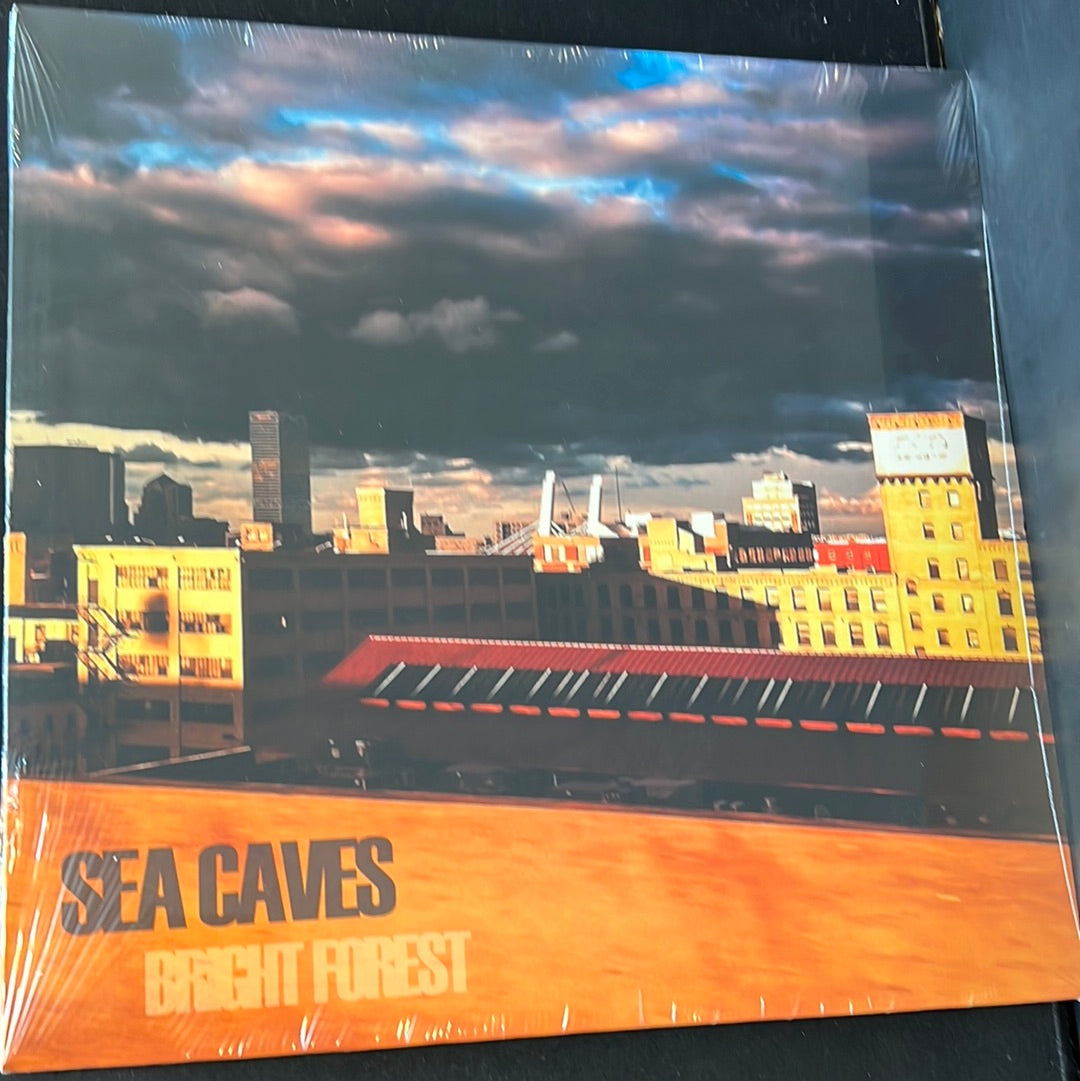 SEA CAVES - bright forest